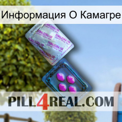 Информация О Камагре 37